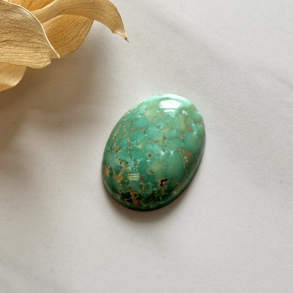 Large Mint Green Oval Crescent Lake Variscite Background