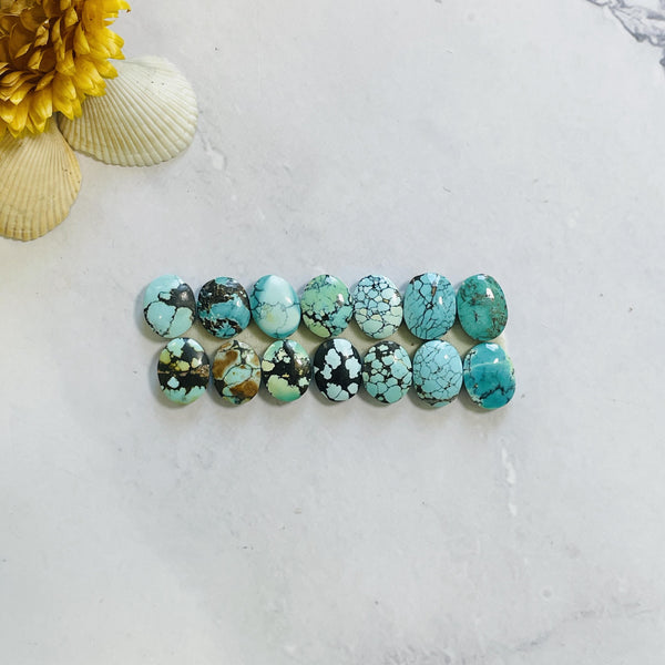 Small Mixed Round Mixed Turquoise, Set of 14 Background