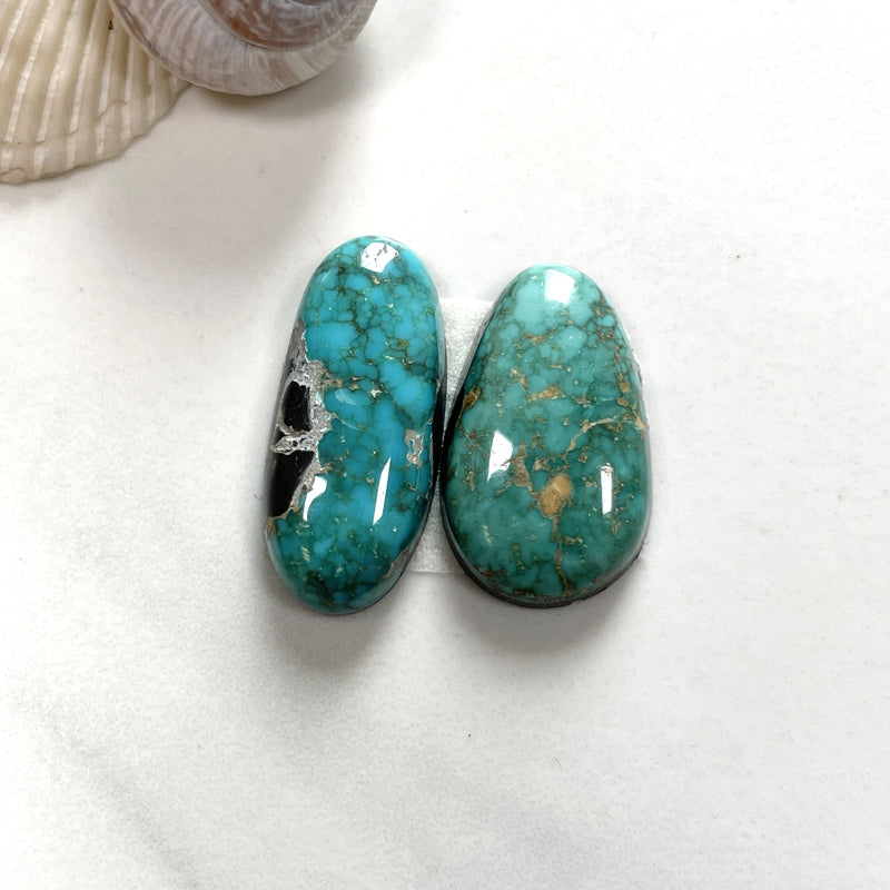 Large Deep Green Freeform Carico Lake Turquoise, Set of 2 Background