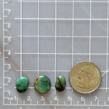 Small Sea Green Mixed Mixed Turquoise, Set of 3 Dimensions
