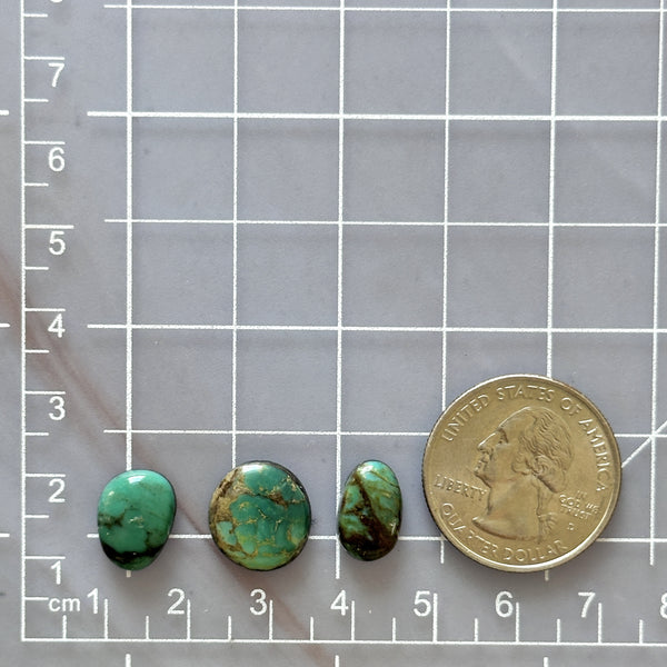 Small Sea Green Mixed Mixed Turquoise, Set of 3 Dimensions