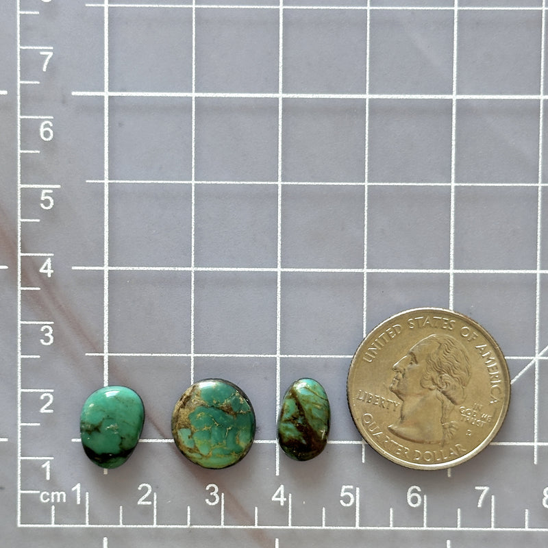 Small Sea Green Mixed Mixed Turquoise, Set of 3 Dimensions