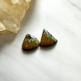 Small Earth Brown Freeform Treasure Mountain Turquoise, Set of 2 Background