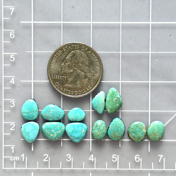 Small Sky Blue Mixed Lone Mountain Turquoise, Set of 12 Dimensions