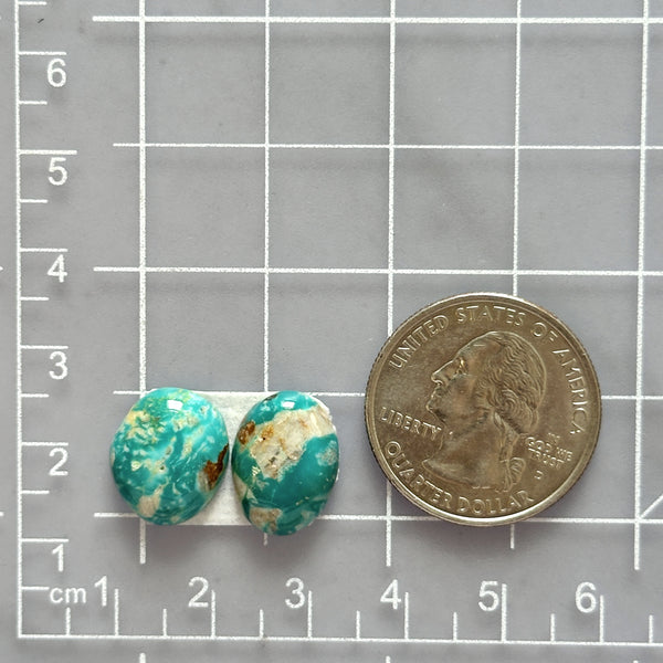 Small Mint Green Oval Fox Turquoise, Set of 2 Dimensions