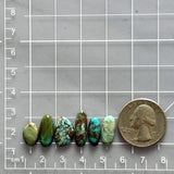 Small Mixed Mixed Tyrone Turquoise, Set of 6 Dimensions