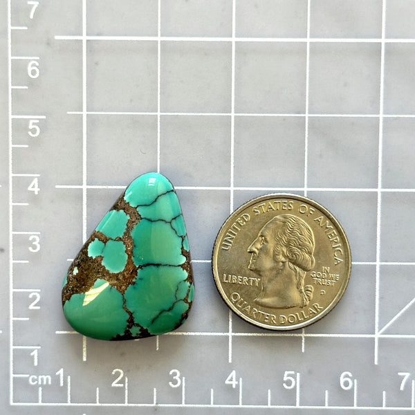 Large Bamboo Green Freeform Bamboo Mountain Turquoise Dimensions