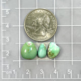 Small Mint Green Freeform Carico Lake Turquoise, Set of 3 Dimensions