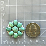 Small Faint Green Mixed Kingman Turquoise, Set of 9 Dimensions
