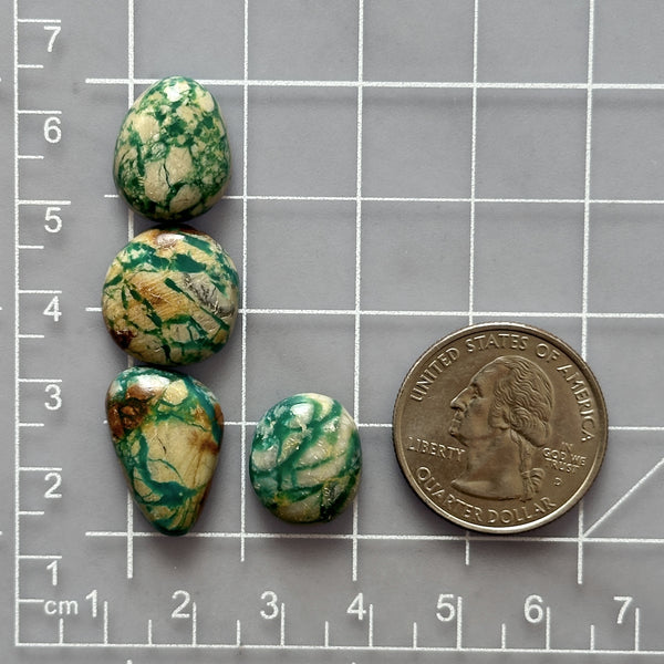 Small Mint Green Mixed Fox Turquoise, Set of 4 Dimensions