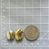 Small Deep Green Freeform Royston Turquoise, Set of 2 Dimensions