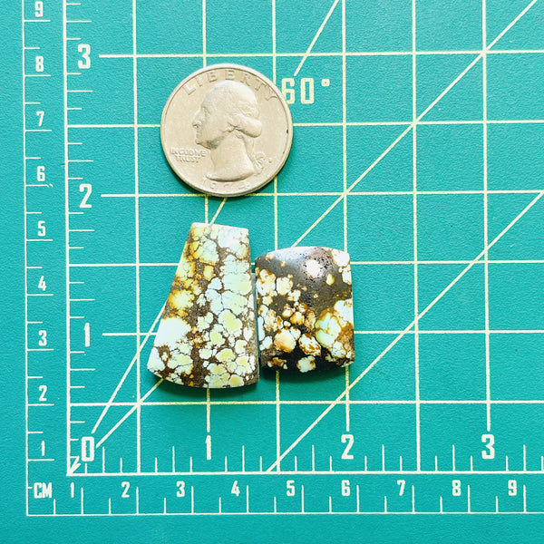 Large Mixed Mixed Treasure Mountain Turquoise, Set of 2 Dimensions