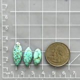 Medium Sky Blue Freeform Namtso Lake Turquoise, Set of 3 Dimensions