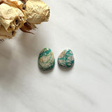 Medium Mint Green Mixed Fox Turquoise, Set of 2 Background