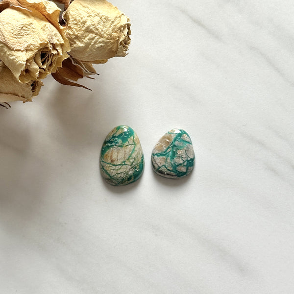 Medium Mint Green Mixed Fox Turquoise, Set of 2 Background