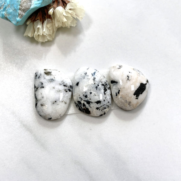 Medium White Freeform White Buffalo Dolomite, Set of 3 Background