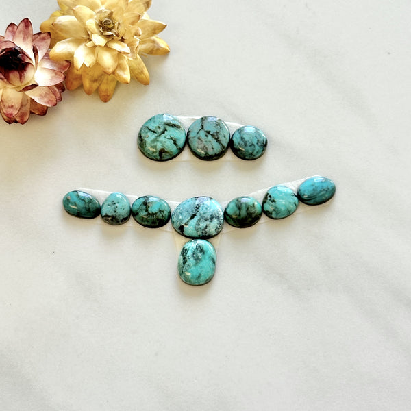 Small Faint Green Freeform Emerald Rose Variscite, Set of 11 Background