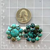 Small Mixed Mixed Yungai Turquoise, Set of 21 Dimensions
