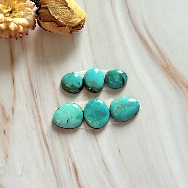 Small Mint Green Freeform Pilot Mountain Turquoise, Set of 6 Background