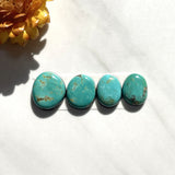 Small Sky Blue Freeform Tyrone Turquoise, Set of 4 Background