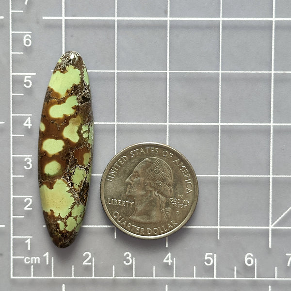 Large Sea Green Surfboard Treasure Mountain Turquoise Dimensions