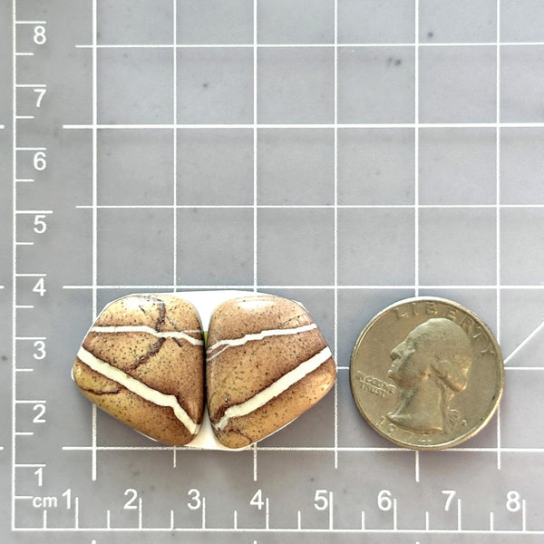 Medium Red Freeform White Buffalo Dolomite, Set of 2 Dimensions