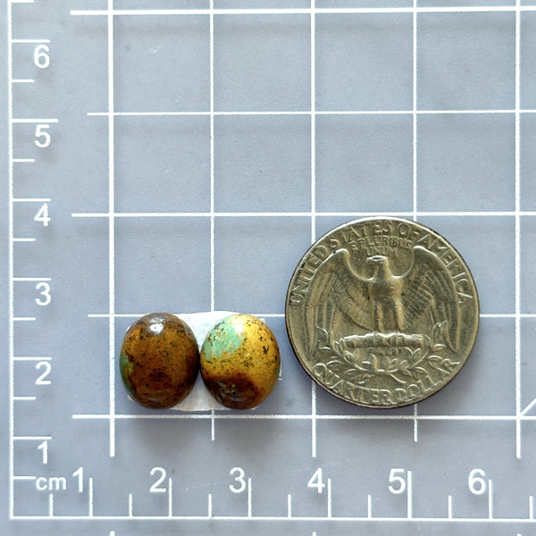 Small Earth Brown Oval Royston Turquoise, Set of 2 Dimensions