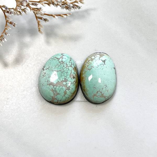 Medium Faint Green Freeform Carico Lake Turquoise, Set of 2 Background