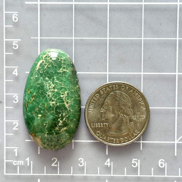 Large Deep Green Oval Broken Arrow Variscite Dimensions