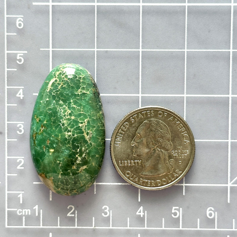 Large Deep Green Oval Broken Arrow Variscite Dimensions