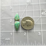 Small Bamboo Green Teardrop Bamboo Mountain Turquoise, Set of 2 Dimensions