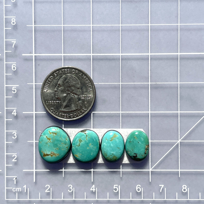 Small Sky Blue Freeform Tyrone Turquoise, Set of 4 Dimensions