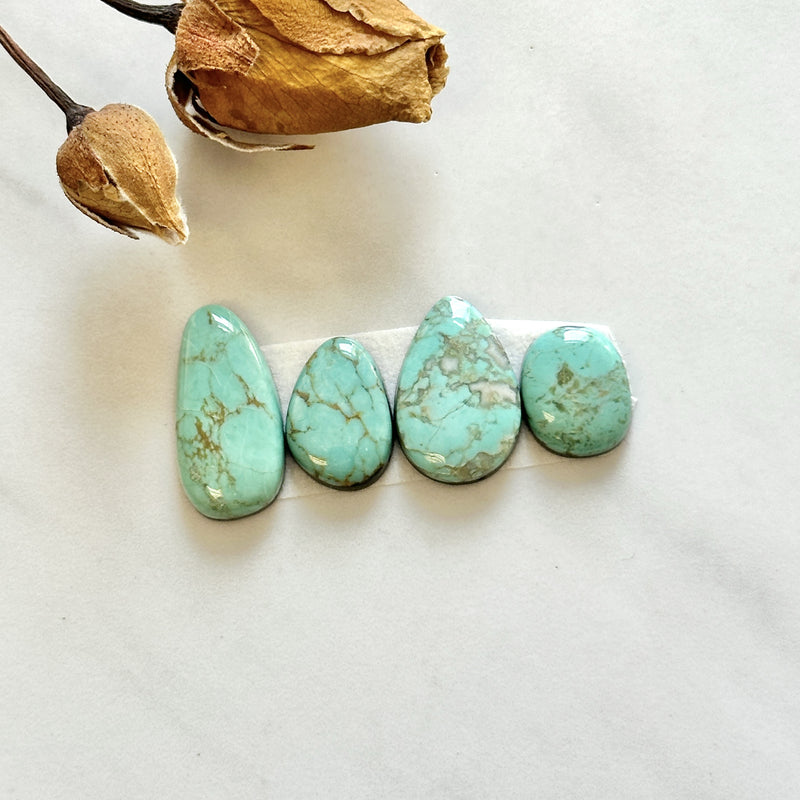 Medium Mint Green Freeform Tyrone Turquoise, Set of 4 Background