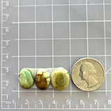 Small Mint Green Oval Crescent Lake Variscite, Set of 3 Dimensions