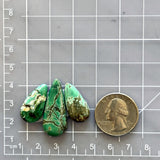 Large Deep Green Teardrop Crescent Lake Variscite, Set of 3 Dimensions
