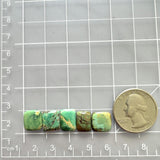 Small Sea Green Freeform Crescent Lake Variscite, Set of 5 Dimensions
