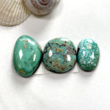 Medium Mint Green Freeform Carico Lake Turquoise, Set of 3 Background