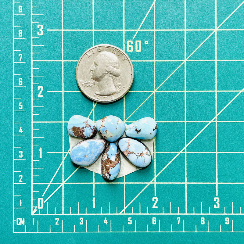 Small Sky Blue Freeform Golden Hills Turquoise, Set of 6 Dimensions