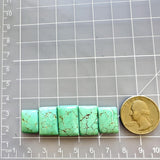Medium Mint Green Bar Namtso Lake Turquoise, Set of 5 Dimensions