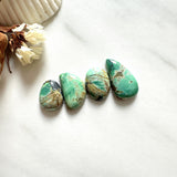 Small Sea Green Mixed Crescent Lake Variscite, Set of 4 Background