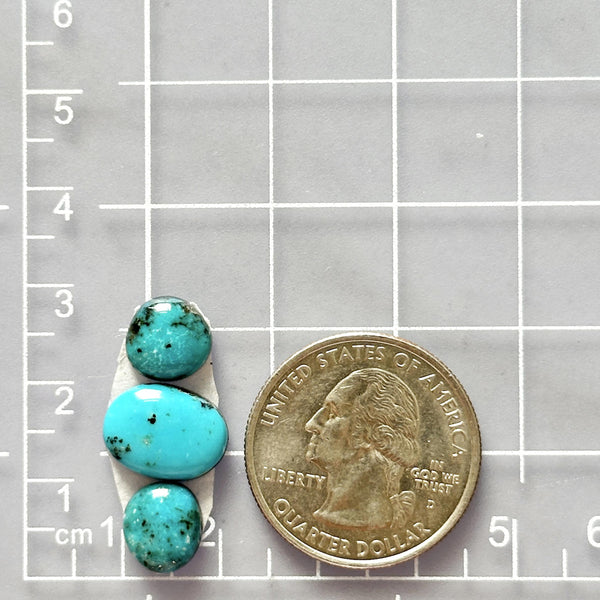 Small Sky Blue Freeform Kingman Turquoise, Set of 3 Dimensions