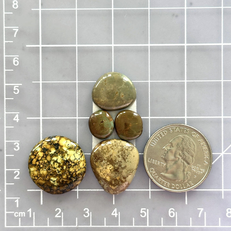 Medium Royal Orange Mixed Golden Birch Turquoise, Set of 5 Dimensions