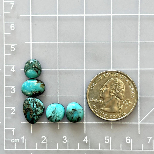 Small Sky Blue Mixed Blue Moon Turquoise, Set of 5 Dimensions