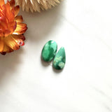 Small Deep Green Mixed Crescent Lake Variscite, Set of 2 Background