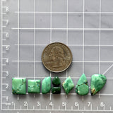 Medium Mint Green Mixed Crescent Lake Variscite, Set of 8 Dimensions