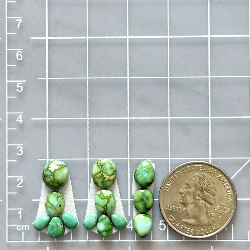 Small Lime Green Mixed Sonoran Gold Turquoise, Set of 13 Dimensions