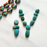 Small Ocean Blue Mixed Fox Turquoise, Set of 13 Background