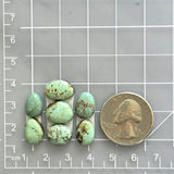 Small Mint Green Mixed Number 8 Turquoise, Set of 7 Dimensions