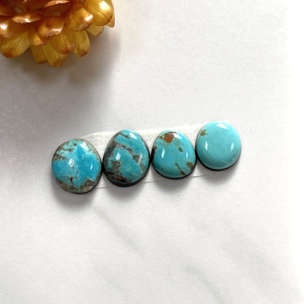 Small Sky Blue Freeform Tyrone Turquoise, Set of 4 Background