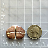 Medium Red Freeform White Buffalo Dolomite, Set of 2 Dimensions